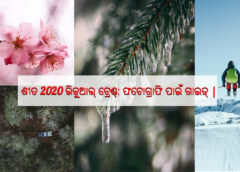 Freepik Winter 2020 Visual Trends - Guide to Photography