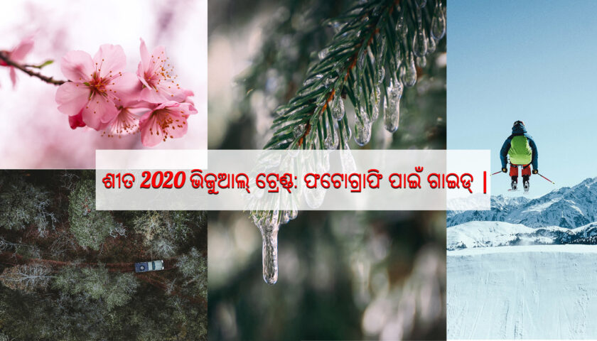 Freepik Winter 2020 Visual Trends - Guide to Photography